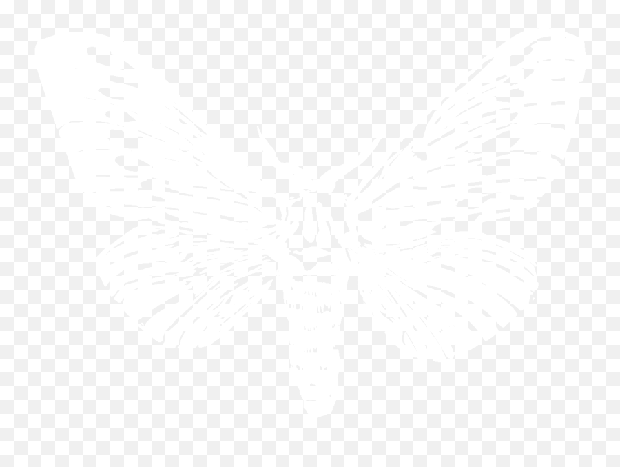 Download Moth Png Image With No Background - Pngkeycom Butterfly Emoji,Moth Transparent