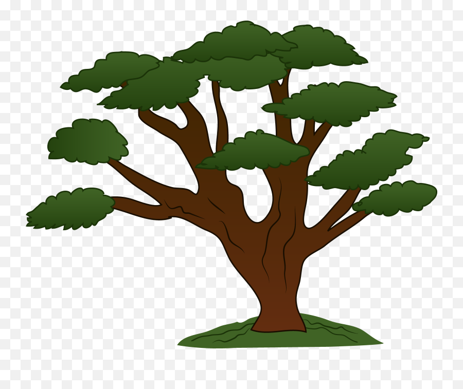 Trees Family Tree Clipart Free Clipart - Tree Clipart Emoji,Trees Clipart