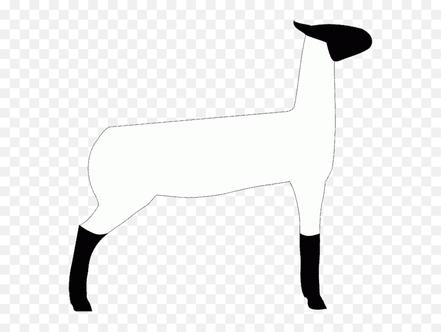 Free Show Lamb Clip Art Sheep Graphics Clublamb Images Emoji,Lambs Clipart