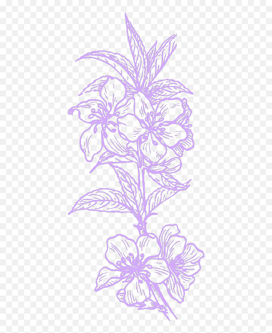 Purple Hawaiian Flower Svg Clip Arts Download - Download Emoji,Hawaiian Flowers Clipart