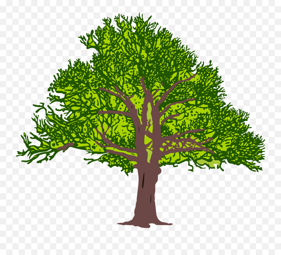Green Tree With Leaves Clipart Free Download Transparent Emoji,Tree Branch Transparent Background