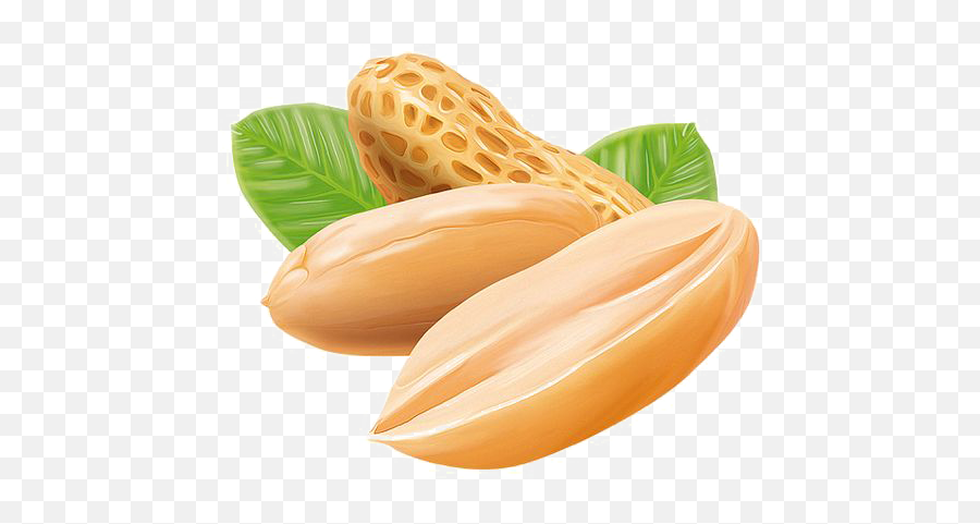 Peanut Png Alpha Channel Clipart Images - Background Peanut Butter Logo Emoji,Peanut Clipart