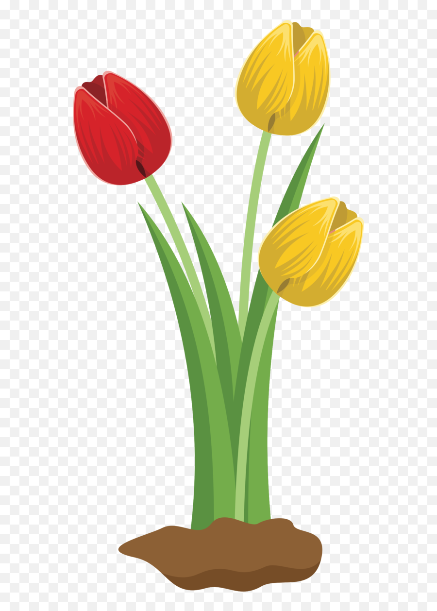 Transparent Tulip Flower Plant Tulip - Transparent Flowering Plant Clipart Emoji,Tulips Clipart