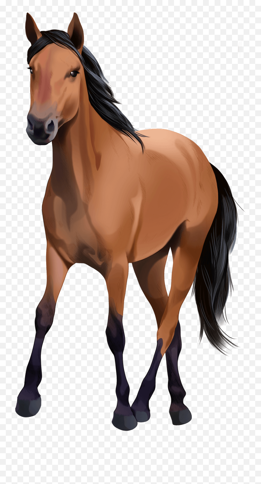 Kiger Mustang Clipart Free Download Transparent Png - Animal Figure Emoji,Mustang Clipart