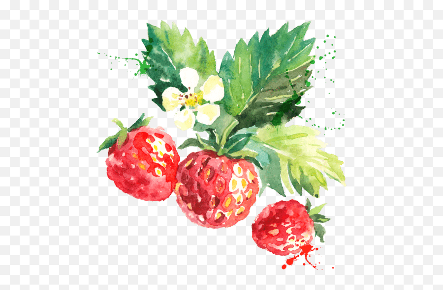 Cropped - Strawberries2x1png Pomonau0027s Universal Pectin Strawberry Hand Drawn Watercolor Emoji,Strawberries Png