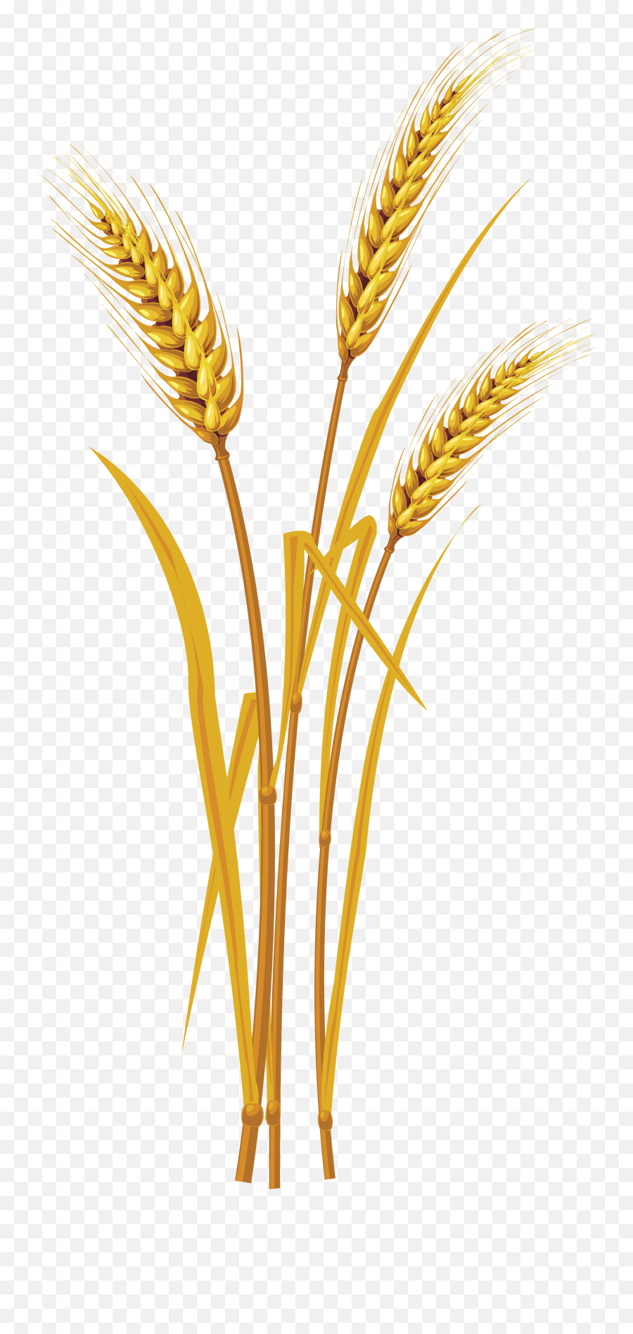 Wheat Png Image Emoji,Wheat Clipart