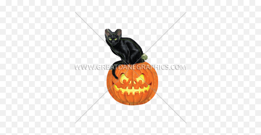 Black Cat On Pumpkin Production Ready Artwork For T - Shirt Emoji,Black Cat Transparent Background