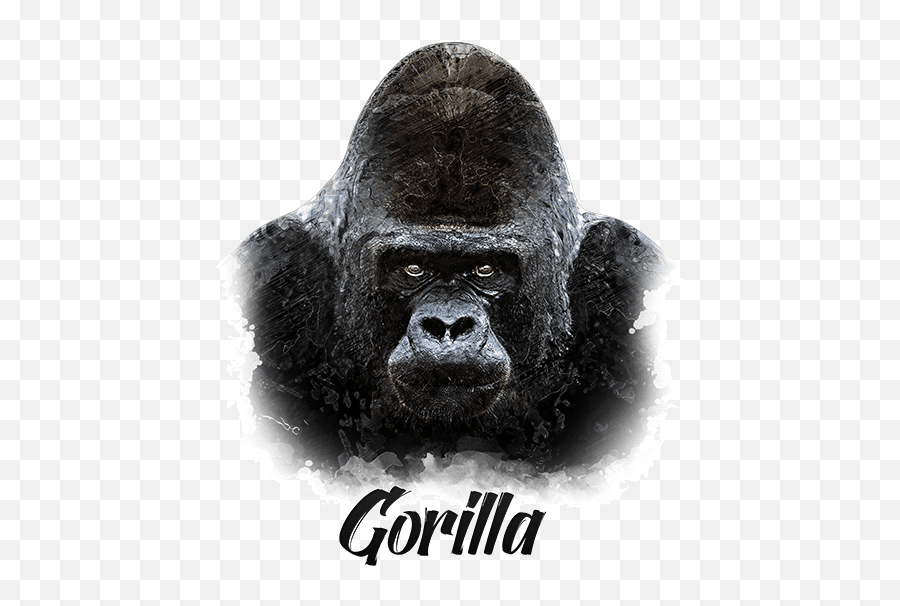 Gorilla Watchs At Animalden Emoji,Gorilla Face Png