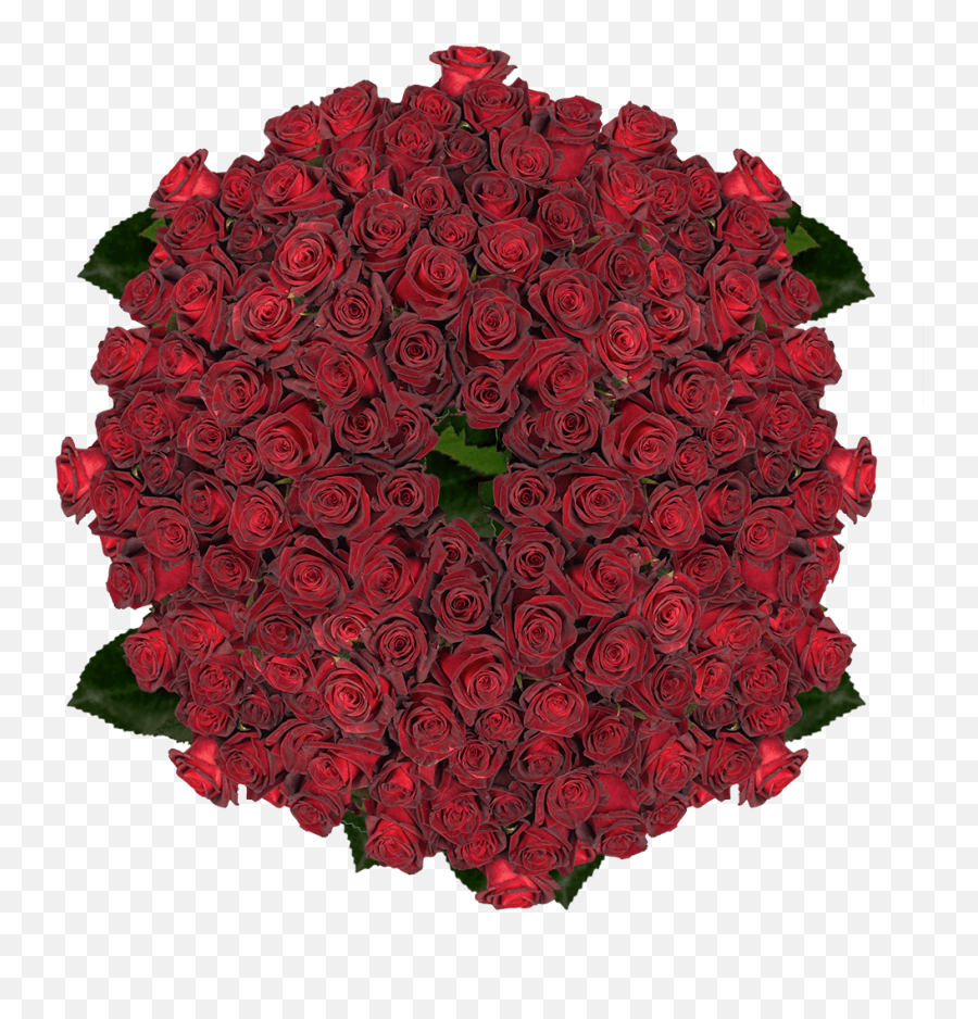 Png Black Rose Petals Page 1 - Line17qqcom Emoji,Rose Petals Png