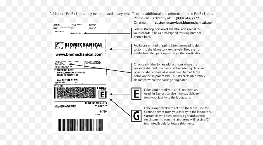 Biomechanical Services - Fedex Prepaid Shipping Label Emoji,Us Postal Services Logo