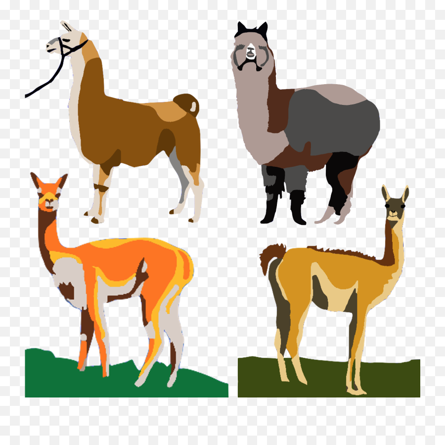 Llama And Alpaca Distribution Map Emoji,Llama Face Clipart