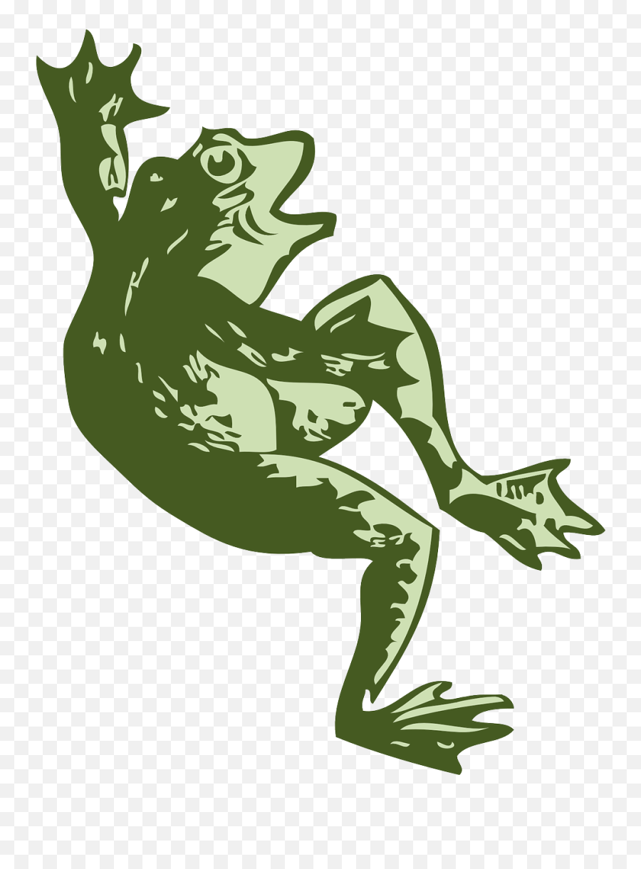 Frogamphibiangreenjumpsjumping - Free Image From Needpixcom Emoji,Frog Pond Clipart