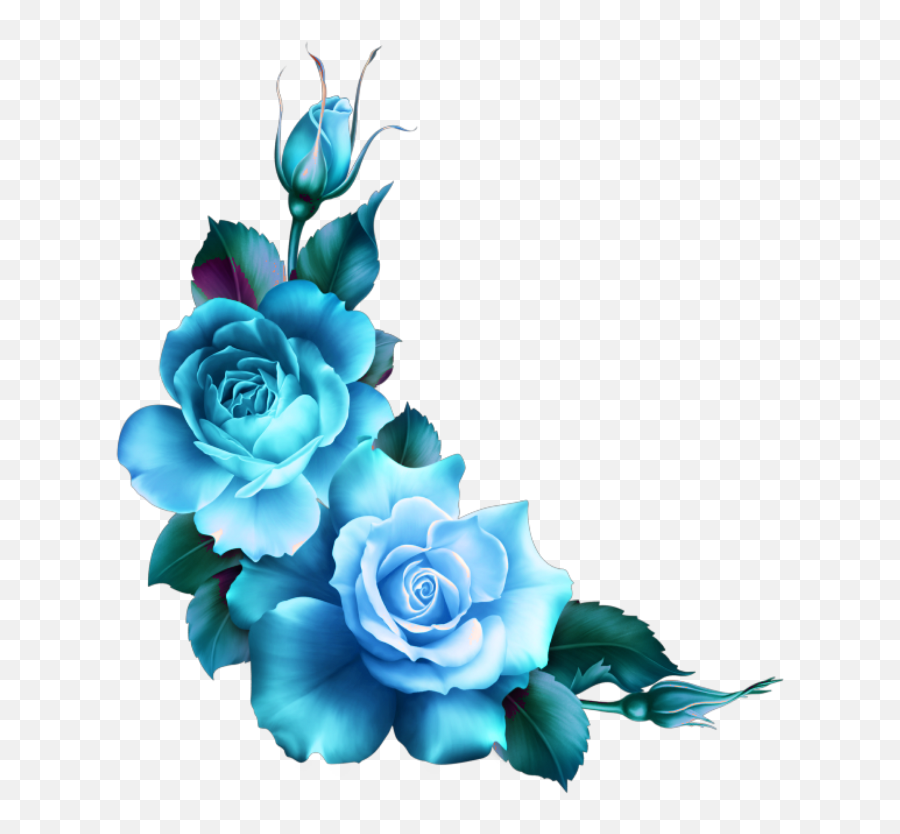 Mq Blue Roses Flowers Flower Rose Border Borders - Blue Border Blue Rose Png Emoji,Flower Border Png