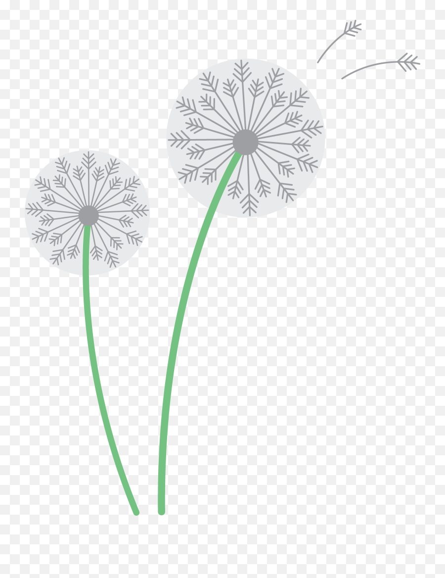 Free Dandelions Cliparts Download Free - Transparent Background Seed Dispersal Clip Art Emoji,Dandelion Clipart