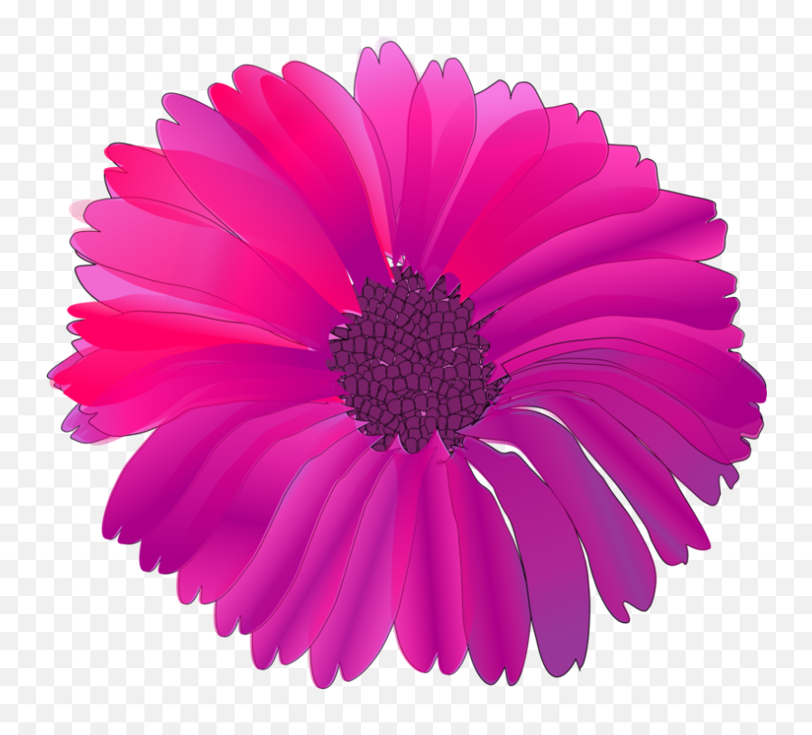 Pinkchrysanthsflower Png Clipart - Royalty Free Svg Png Vector Pink Flower Png Emoji,Pink Flowers Png