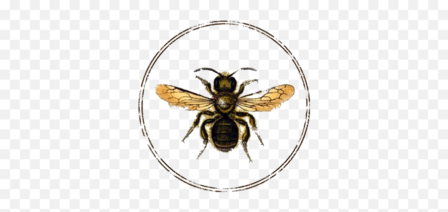 Vintage Bee Bumble Bee Tattoo - Bee Vintage Emoji,Bee Transparent