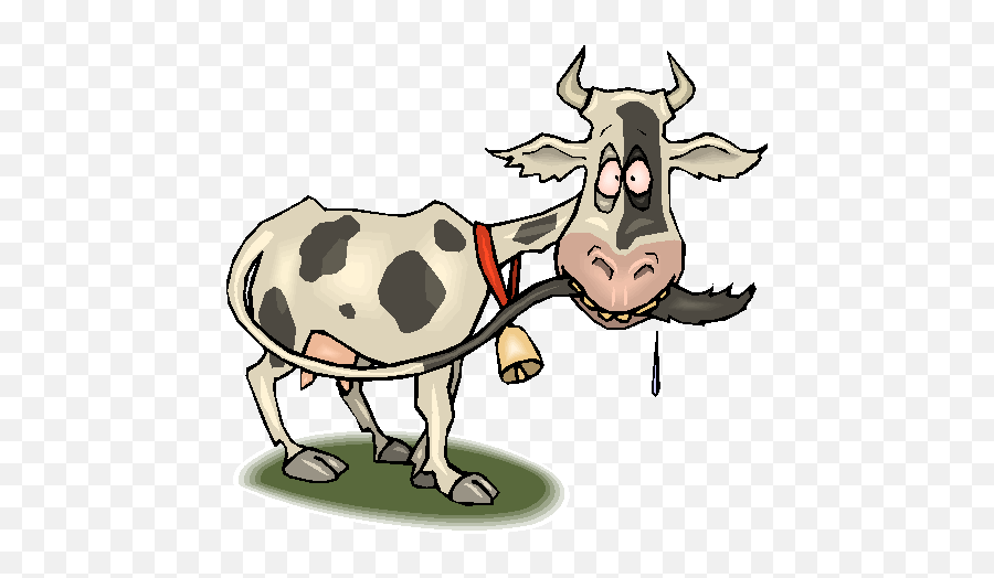 Ranch Rodeo Bible Series - Mad Cow Disease Png Emoji,Rodeo Clipart
