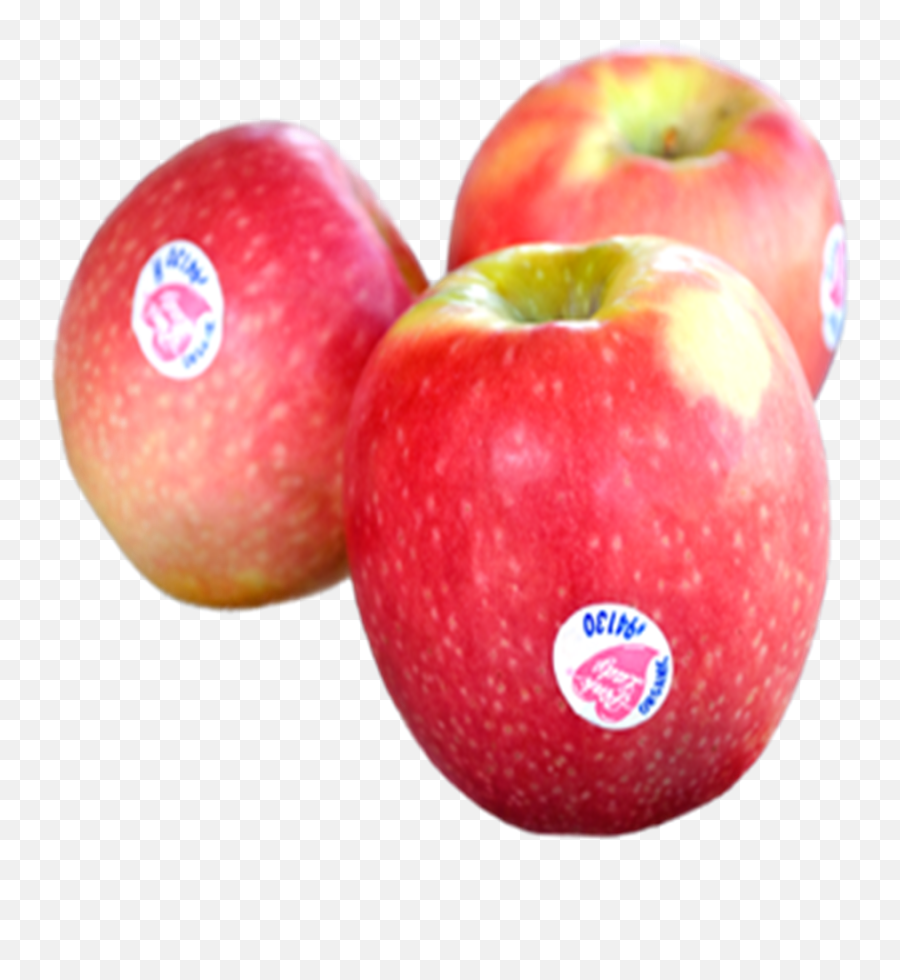 Clipart Free Library Apple Red X S Box Kg Jackie - Pink Lady Pink Lady Apples Png Emoji,Apples Png