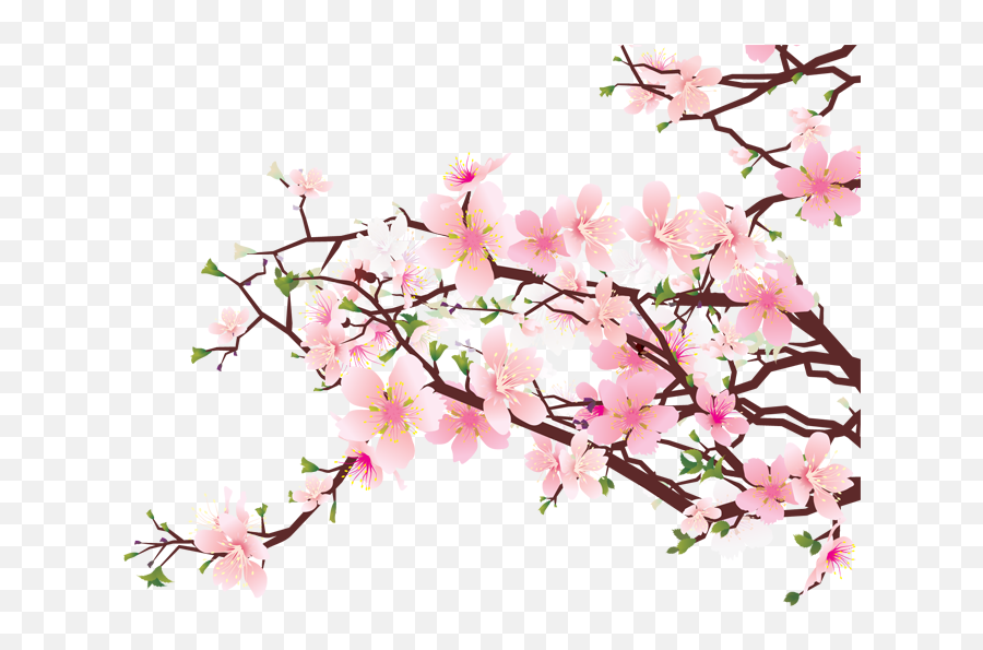 Cherry - Cherry Blossom Transparent Emoji,Cherry Blossom Png
