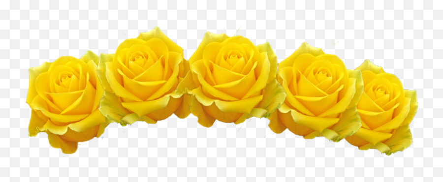 Download Hd Yellow Flower Crown Png Image Download Emoji,Yellow Flowers Png