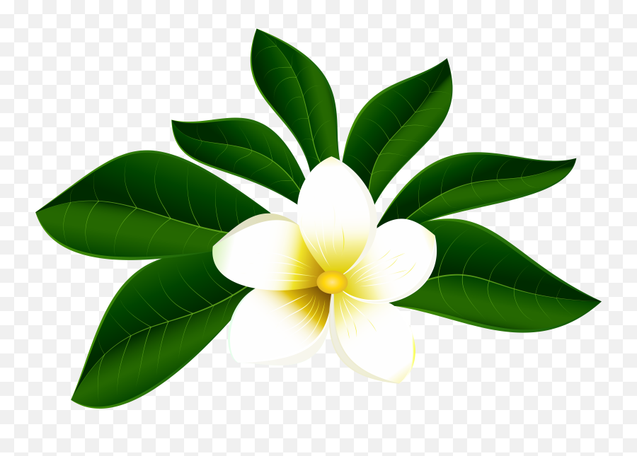 Flowers Clipart Green Flowers Green Transparent Free For - Transparent Background Tropical Flower Png Emoji,Flowers Clipart