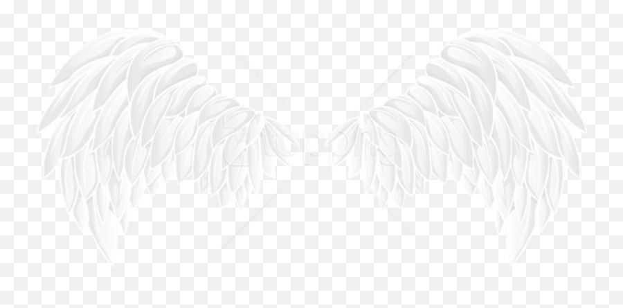 Download Free Png White Wings Png Images Transparent - White White Wings Png Emoji,Wings Png