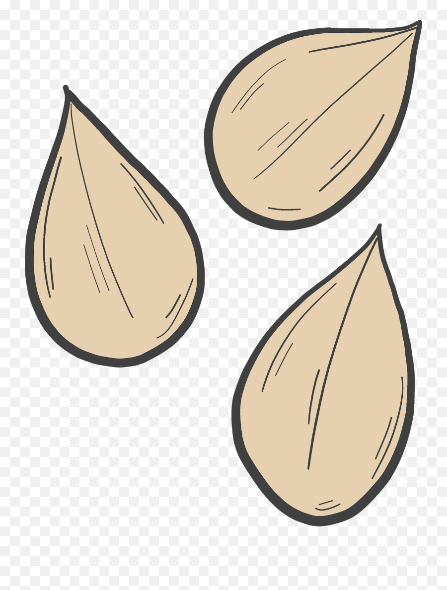 Pumpkin Seeds Clipart - Pumpkin Seeds Clipart Png Emoji,Seed Clipart