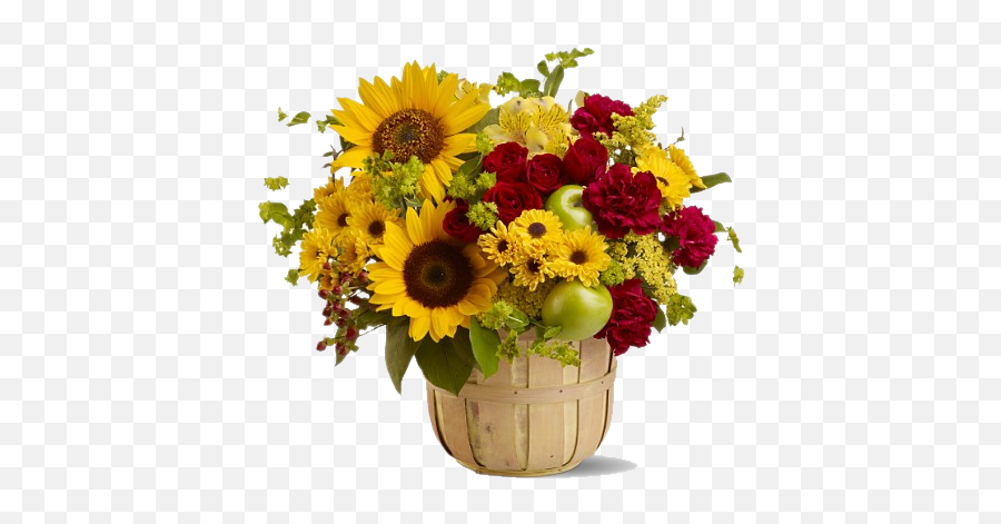 Sunflower Png Images Transparent Free Download - Apple And Flowers Arrangements Emoji,Daisy Transparent Background