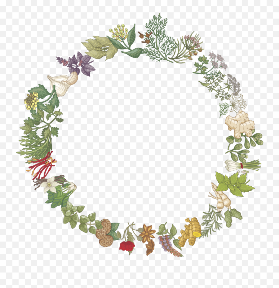 Herbs Spices - Herbs Wreath Png Emoji,Herbs Clipart