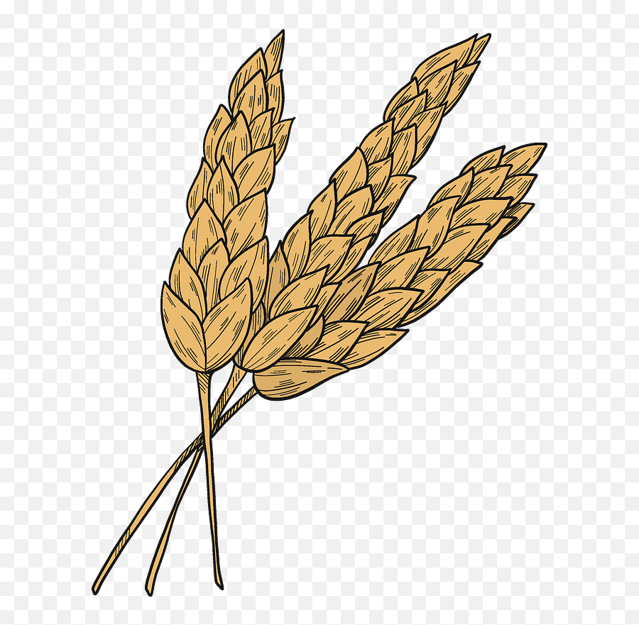 Wheat Clipart - Common Wheat Emoji,Wheat Clipart