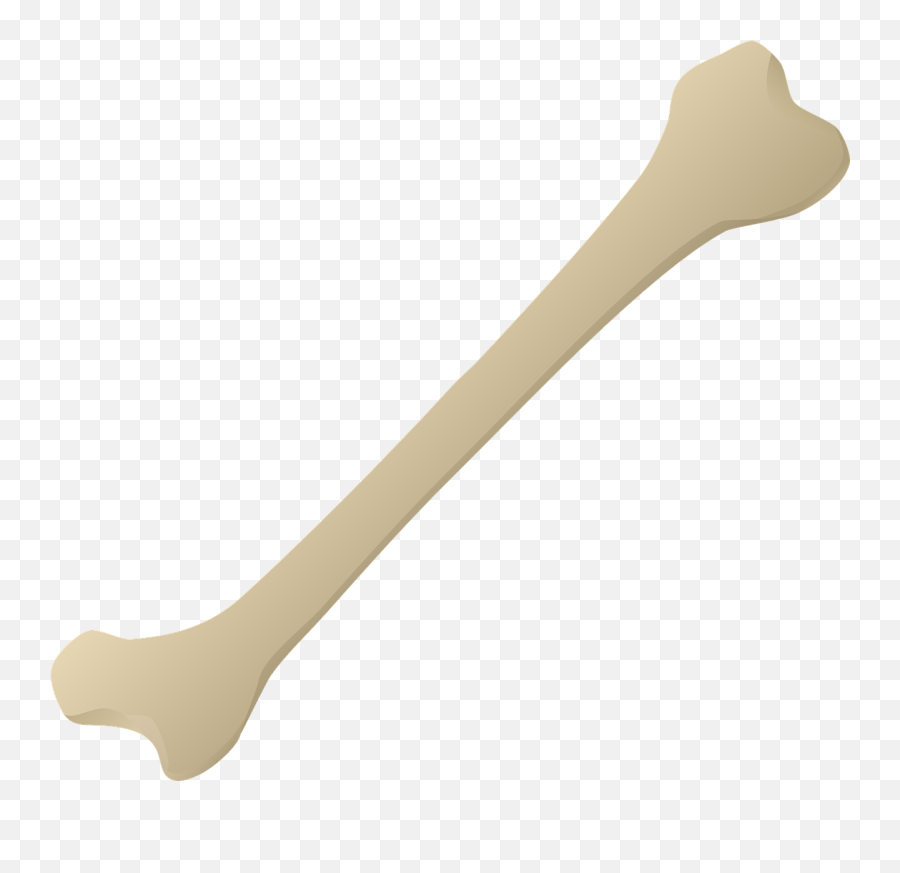 Bone Bone Carving Leg Bone Png - Leg Bone Vector Png Emoji,Bone Png