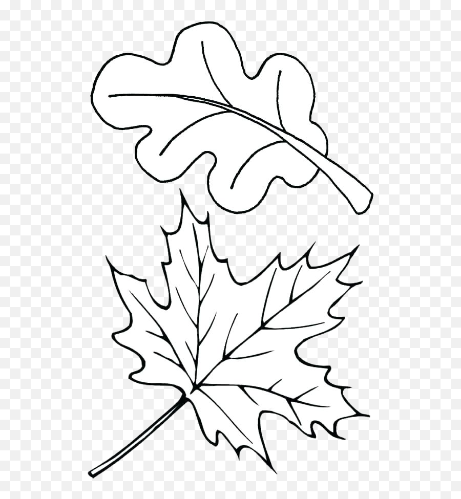 Fall Leaf Outline - Autumn Leaves Coloring Pages Emoji,Fall Leaf Clipart Black And White