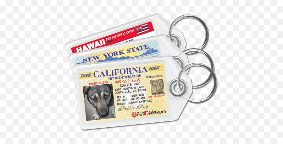 Driveru0027s License Pet Tags For Your Dog Petidme - Doggy License Emoji,Dog Tags Png