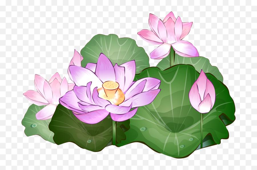 Flower Clipart Lotus Flower Images Emoji,Summer Flowers Clipart