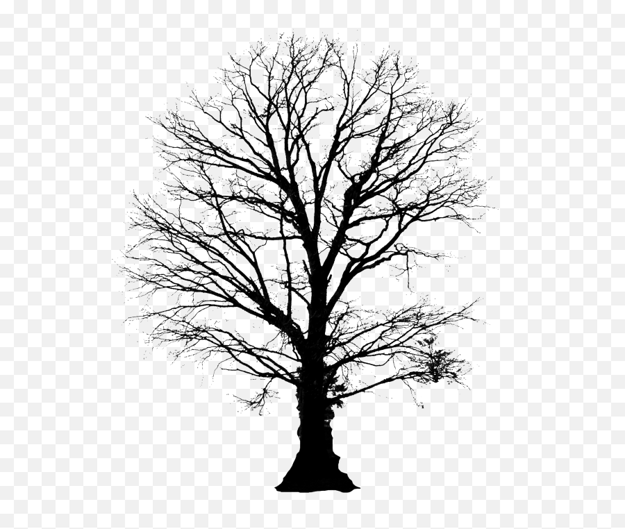 Winter Tree Silhouette Png Transparent - Oak Tree Winter Vector Emoji,Tree Silhouette Png
