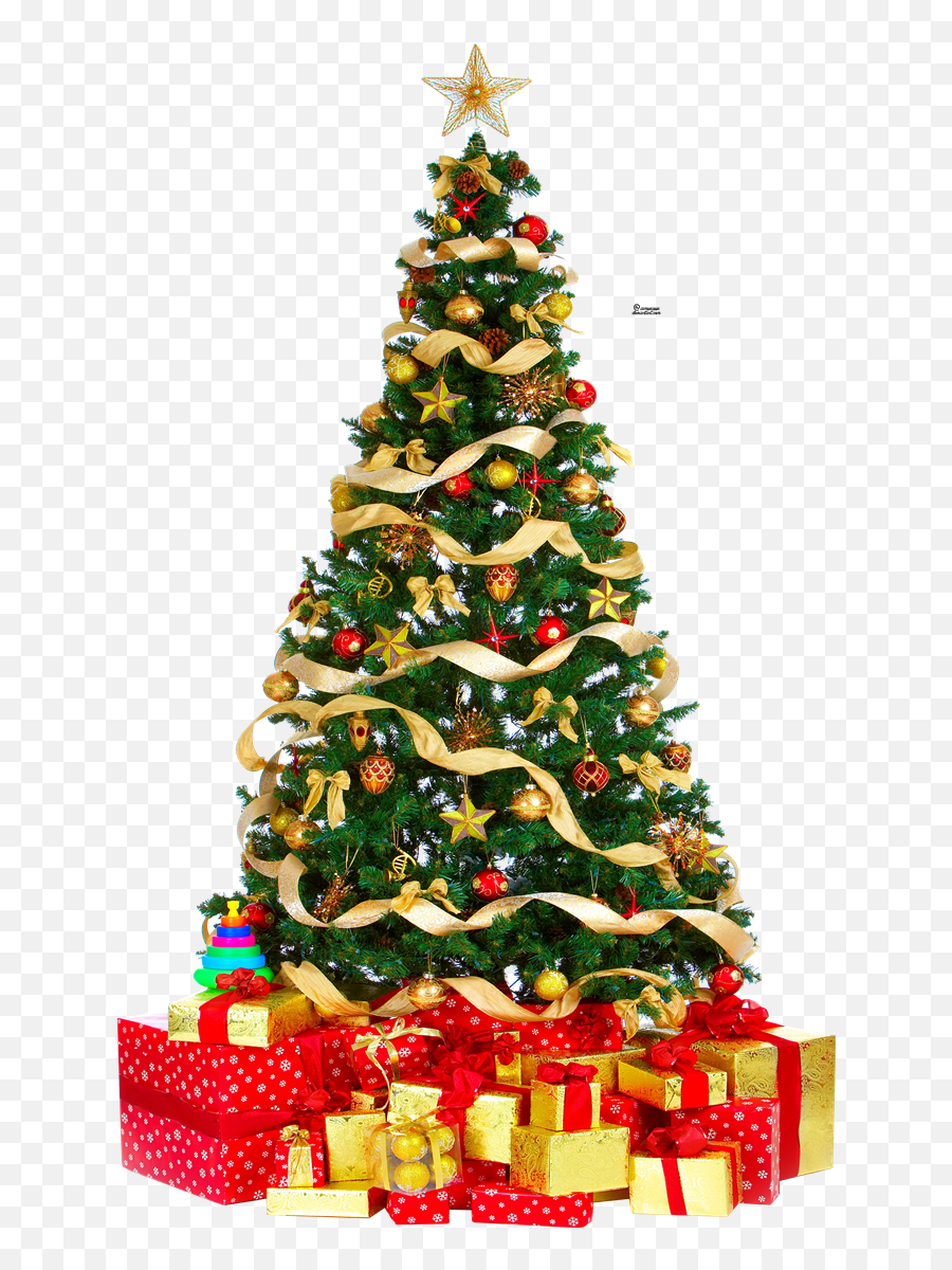 Christmas Tree Png Free Download - Christmas Tree Emoji,Christmas Tree Png