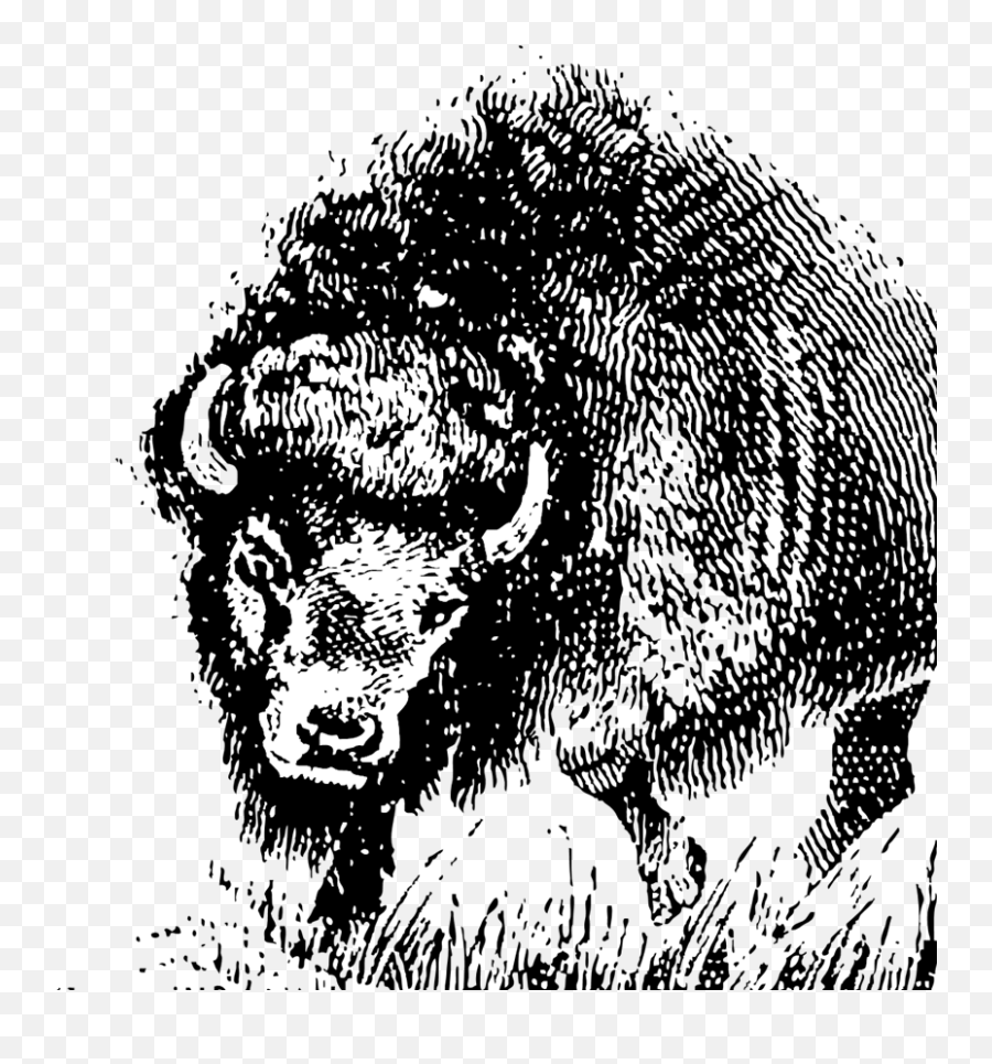 Buffalo Svg Vector Buffalo Clip Art - Svg Clipart Hair Design Emoji,Buffalo Clipart