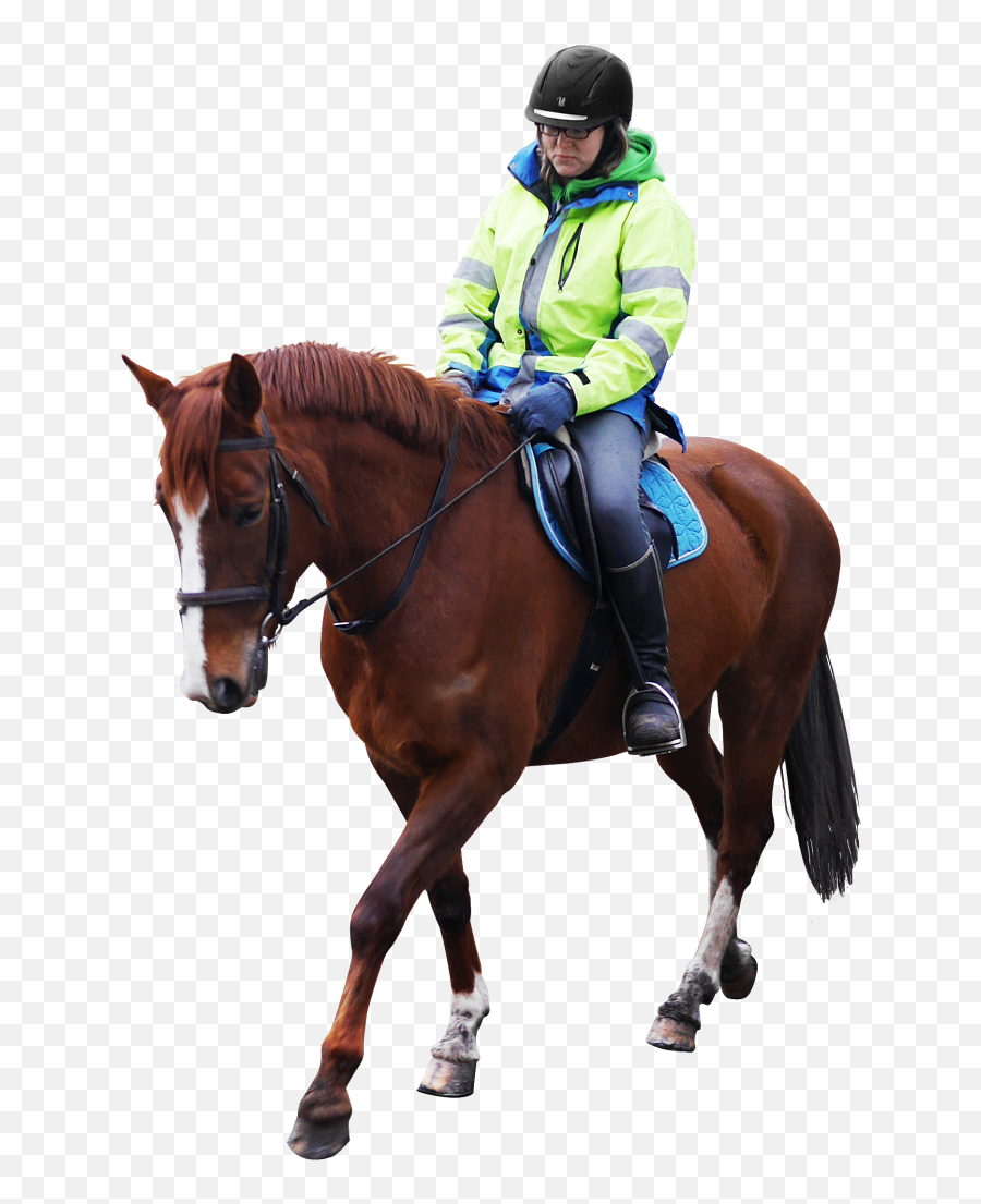 Horse Riding Png Image - Ride A Horse Transparent Emoji,Horse Transparent