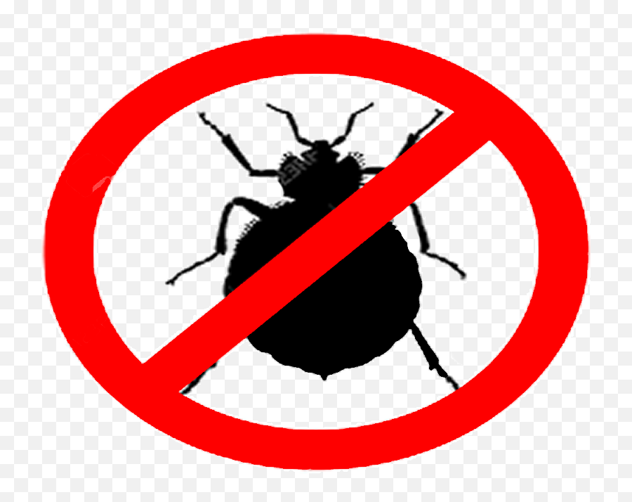 Bed Bugs Clipart - Full Size Clipart 1173249 Pinclipart Bug Extermination Emoji,Bugs Clipart