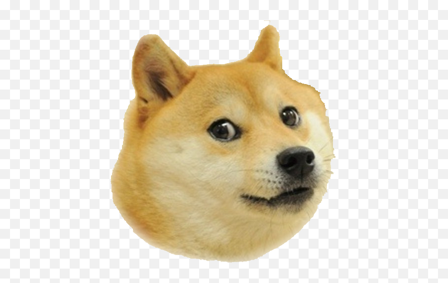 Doge My Own Mlg Wikia Fandom - Doge Head No Background Emoji,Shrek Face Png