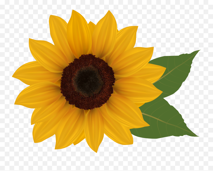 Free Sunflower Clipart Transparent - Clipart Transparent Background Sunflower Emoji,Sunflower Clipart