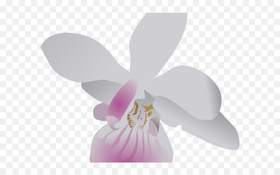 Orchid Clipart Transparent Background - Orhidea Flower Clipart Emoji,Orchid Clipart
