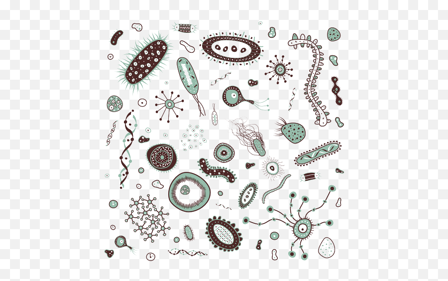 Bacteria Png Images - Clipart Bacteria Png Emoji,Bacteria Png