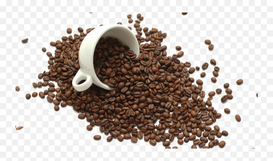 Instant Coffee Tea Coffee Bean Coffee Ro 1214601 - Png Coffee Roasted Beans Png Emoji,Coffee Bean Png