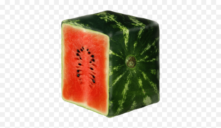 Sliced Square Watermelon Transparent - Square Watermelon Png Emoji,Watermelon Png