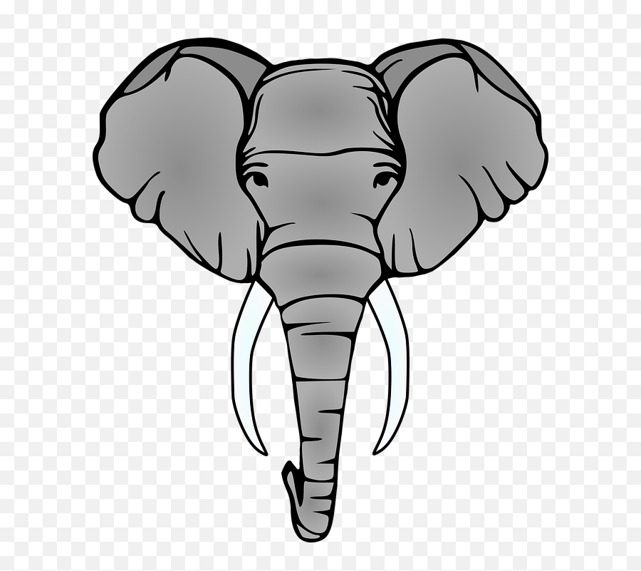 Elephant Head Tusks Emoji,Elephant Head Png