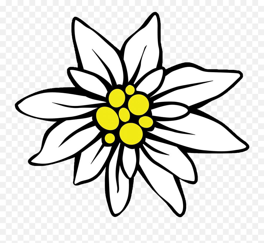 Page Divider Clipart - Clip Art Edelweiss Flower Emoji,Divider Clipart