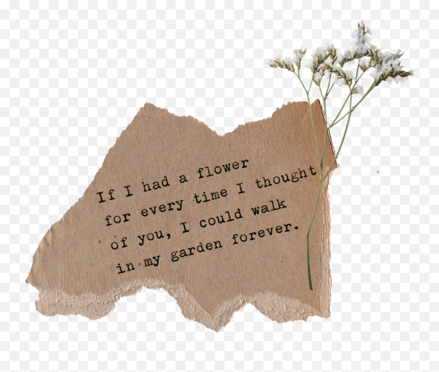 Paper Torn Tornpaper Sticker By Duda - Ripped Paper Aesthetic Quotes Emoji,Torn Paper Png