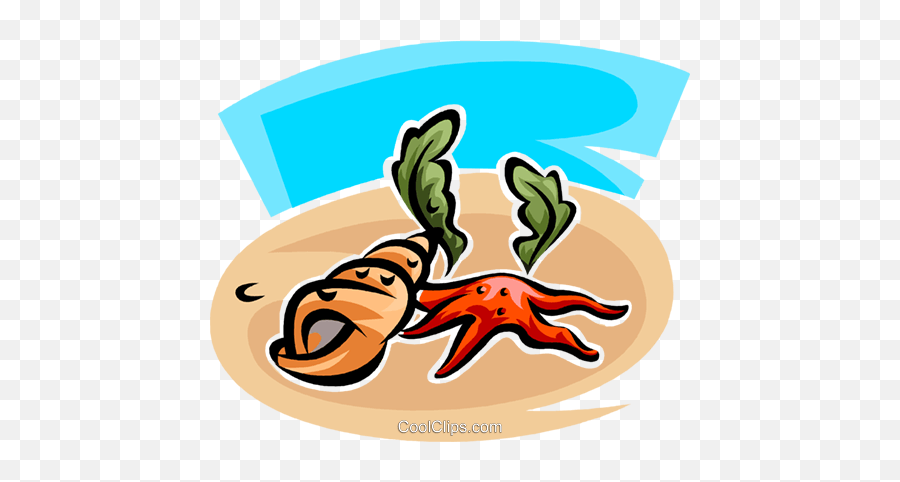 Starfish And Seashells Royalty Free Vector Clip Art Emoji,Seashells Clipart