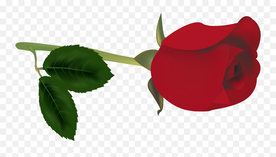 Image Bright Red Flowers Wall 4000x2136 Pixel Emoji,Red Flowers Png
